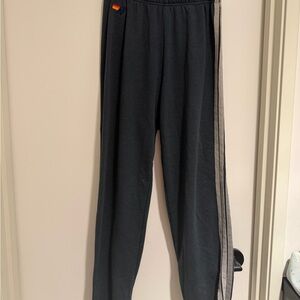 Aviator Nation Black Pants with Gray Stripe